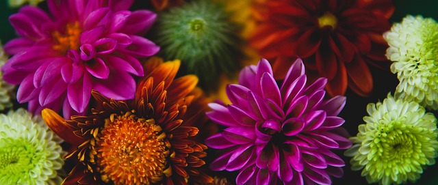 现了人们对 现了人们对