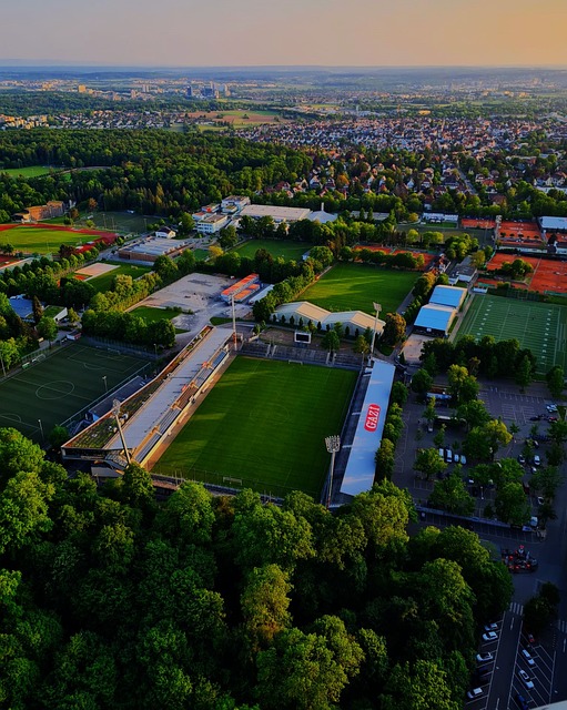 費爾南德斯 費爾南德斯