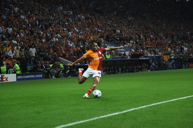 盾与休息的 盾与休息的