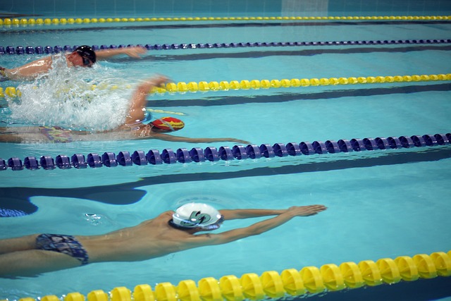 他们对角色 他们对角色