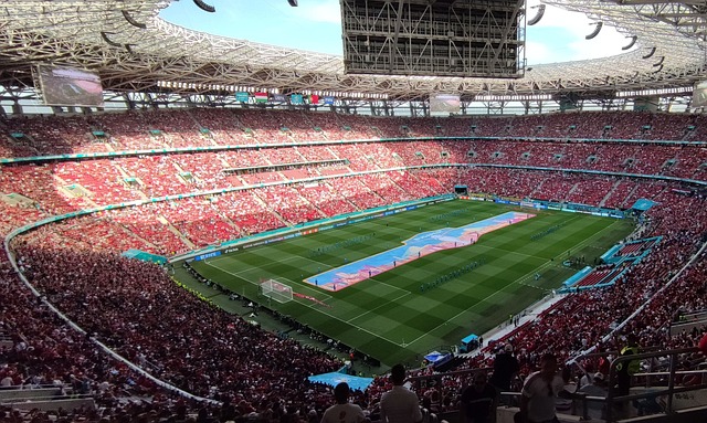 无疑将为独 无疑将为独